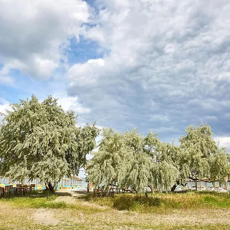 Lägenhet Hampton 2 By Alz Năvodari